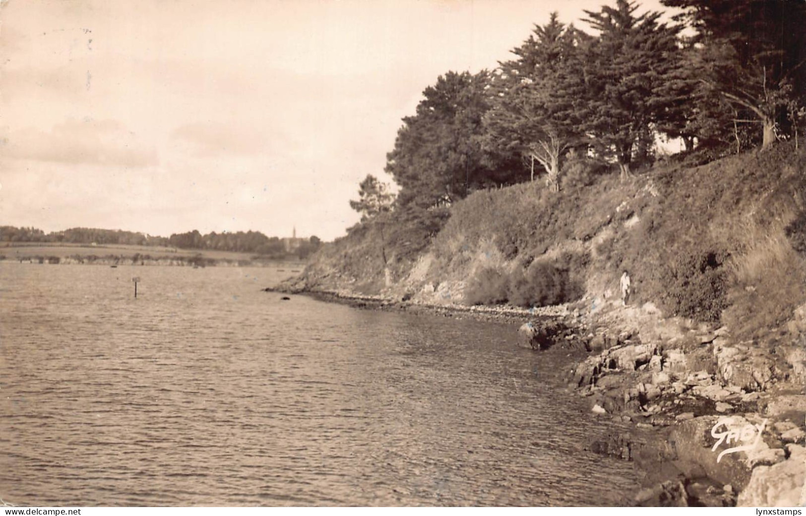 C099 France Arradon La Pointe 1951 vintage postcard