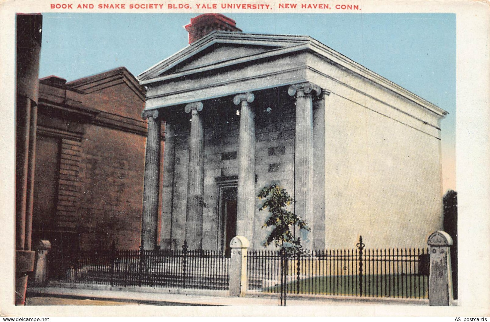 C117  Connecticut  New Haven Yale University  vintage postcard