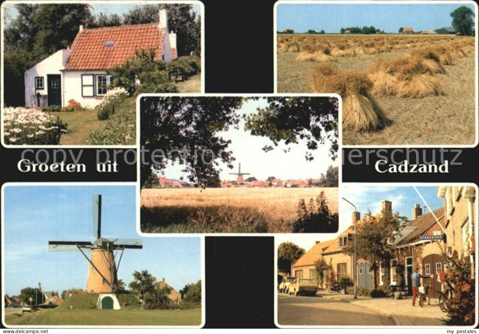 Cadzand Zeeland Dorfansichten Windmuehle Landwirtschaft