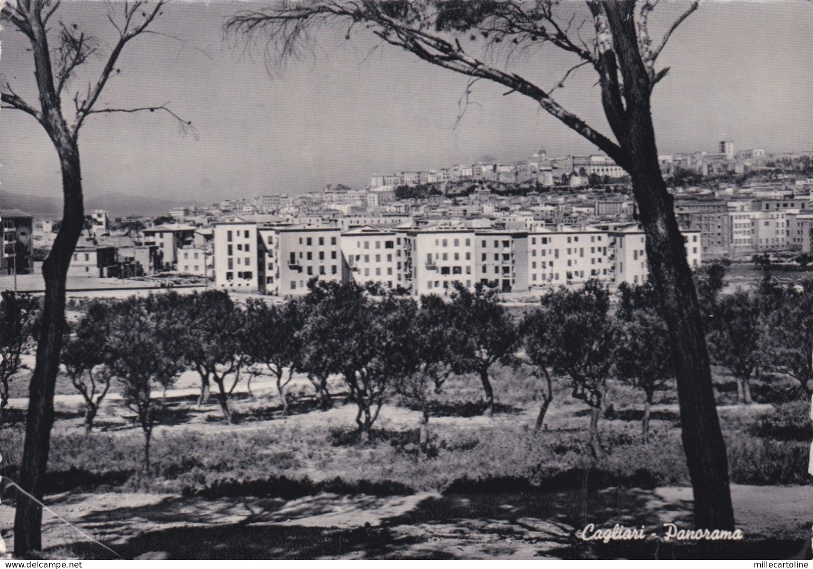 CAGLIARI: Panorama   1954