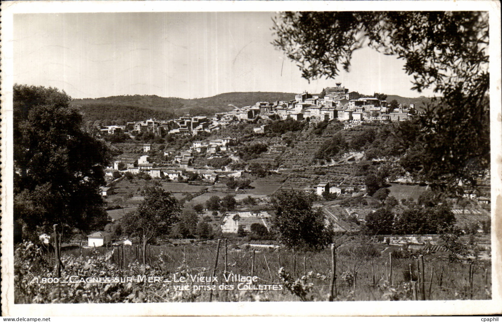 Cagnes sur Mer - Le Vieux Village - Vue prise des Collettes - CPA