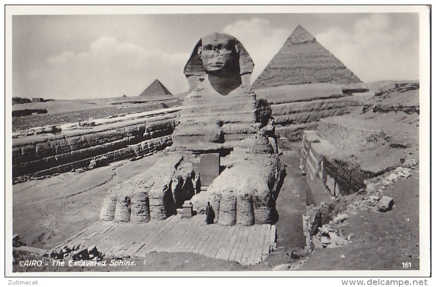Cairo - the Excavated Sphinx