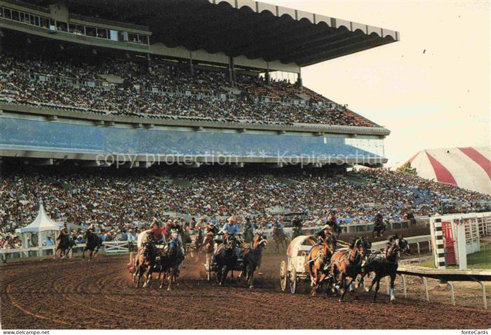 Calgary Alberta Canada Calgary-Stampede Chuckwagon-Rennen Outrider Arena Tribuen
