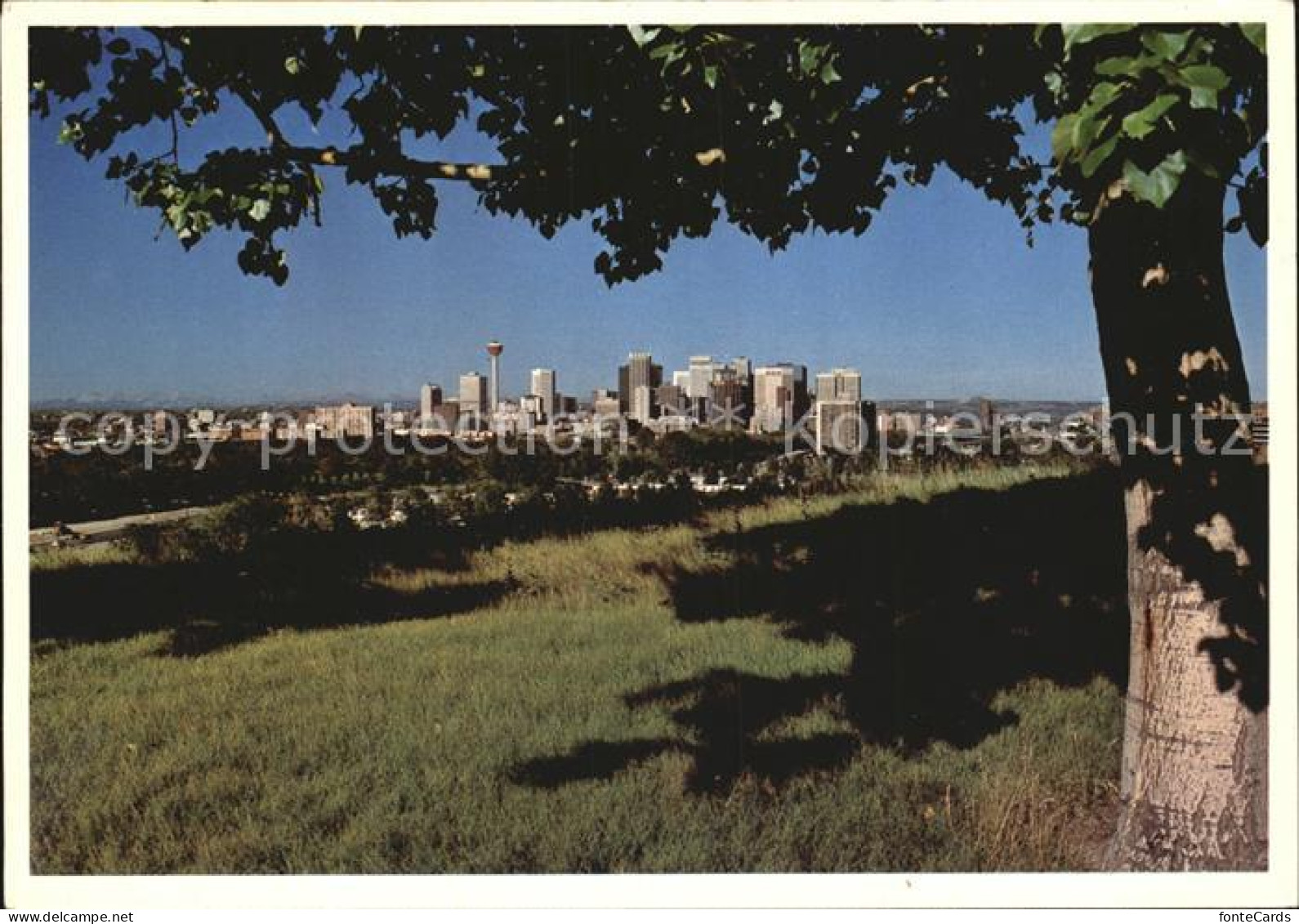 Calgary Panorama
