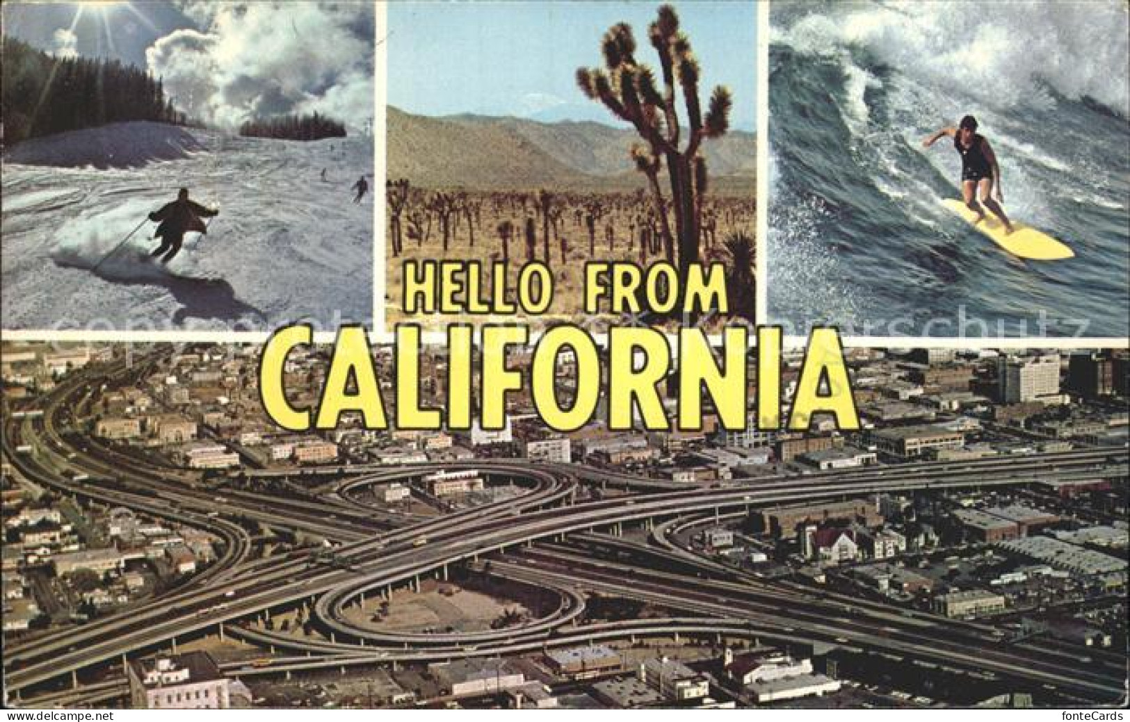 California City Freeways desert in bloom Pacific Ocean