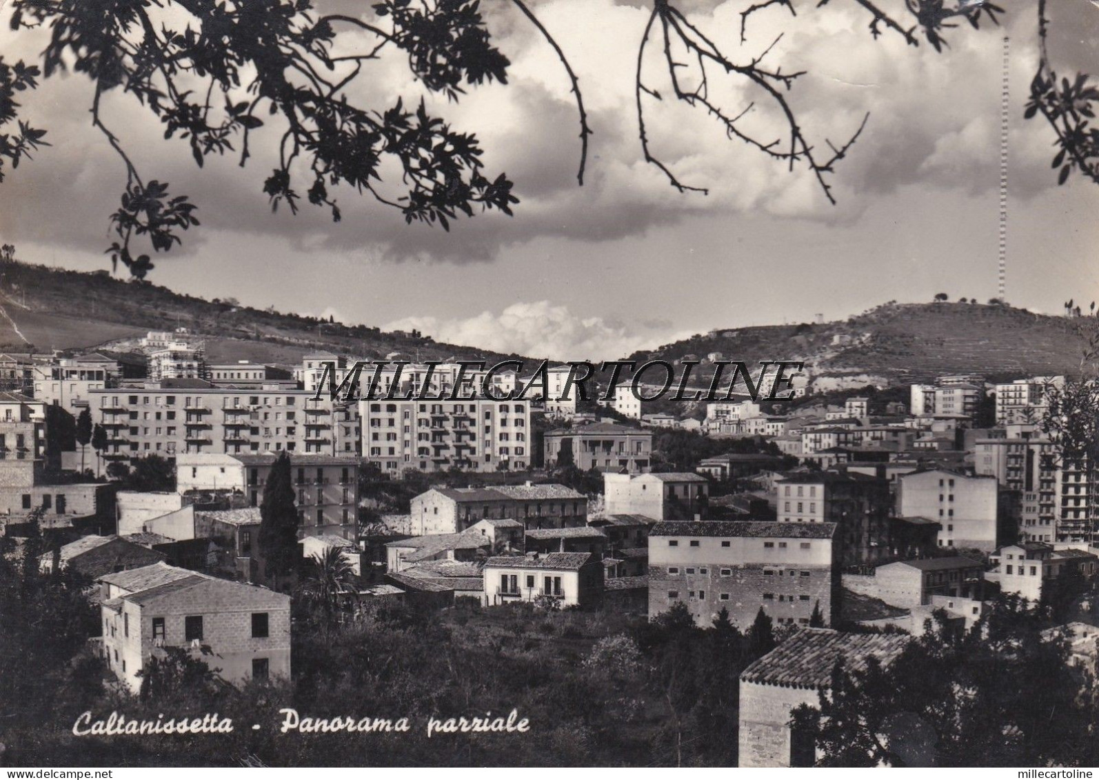 CALTANISSETTA: Panorama Parziale    1957