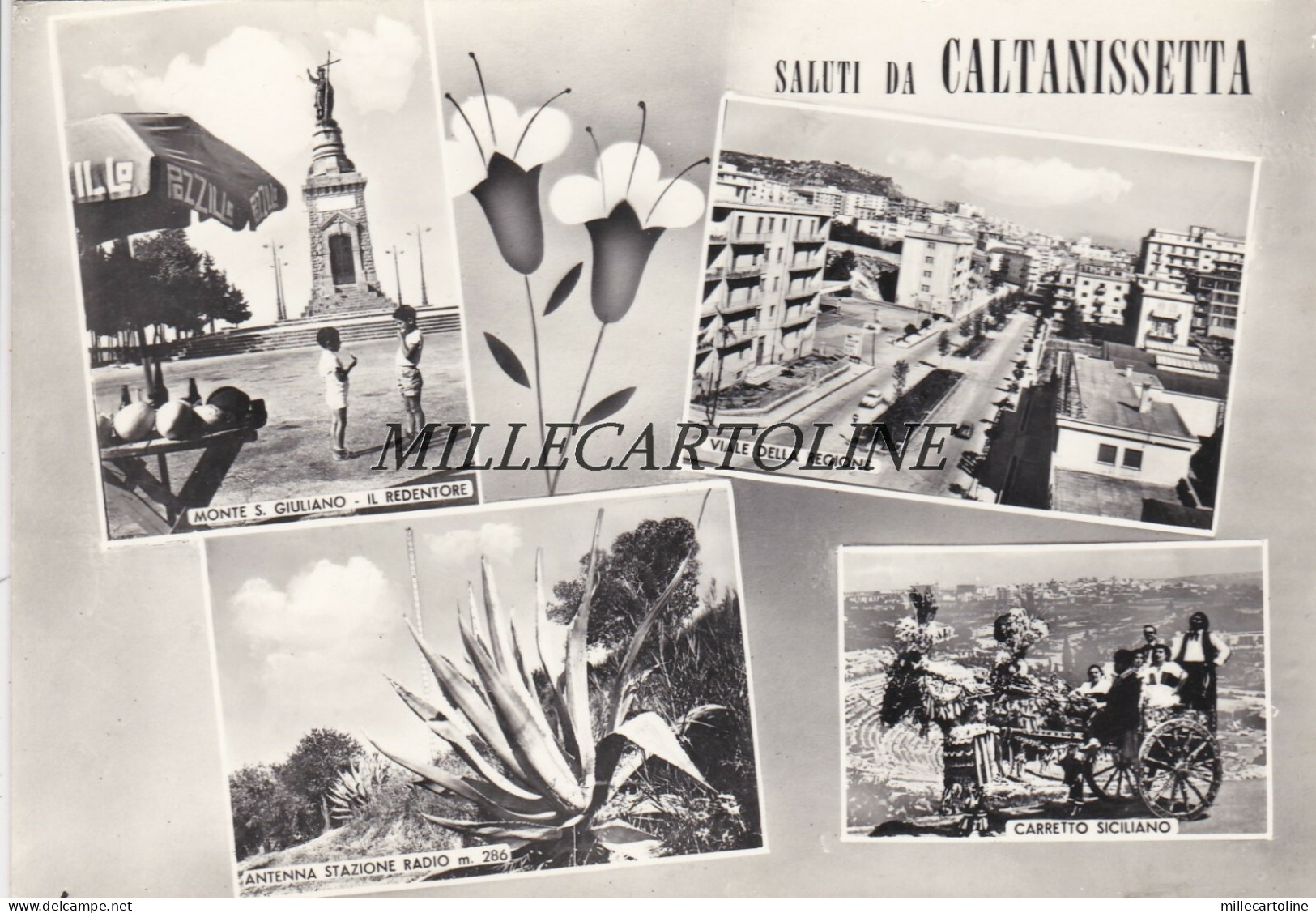 CALTANISSETTA:  Saluti da - 4 vedute