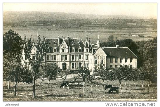CALVADOS -ref A14895-association st etienne vacances-chateau de betteville -pont -cpsm petit format   -carte  bon etat -