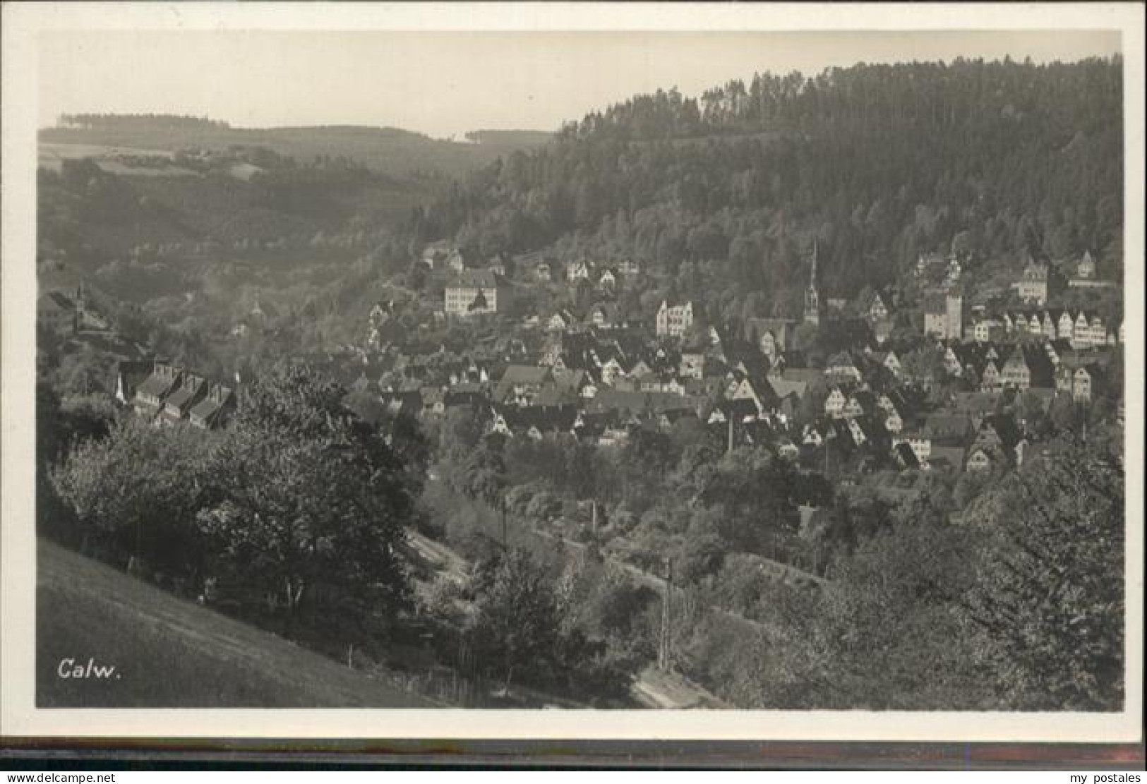 Calw