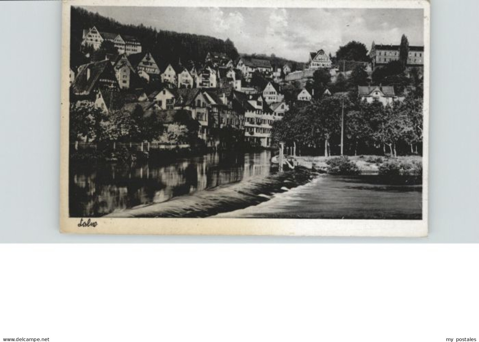 Calw