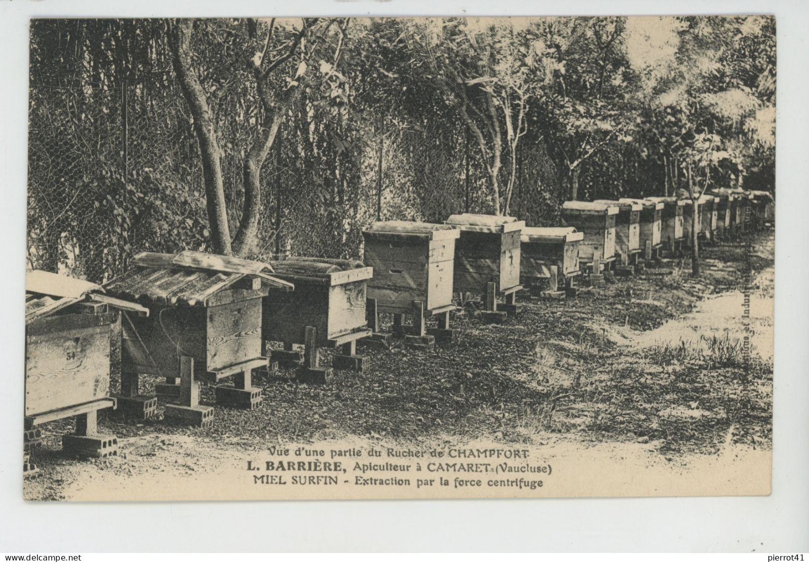CAMARET SUR AIGUES - Vue d'une partie du Rucher de CHAMPFORT - L. BARRIERE Apiculteur - Carte écrite par L. BARRIERE