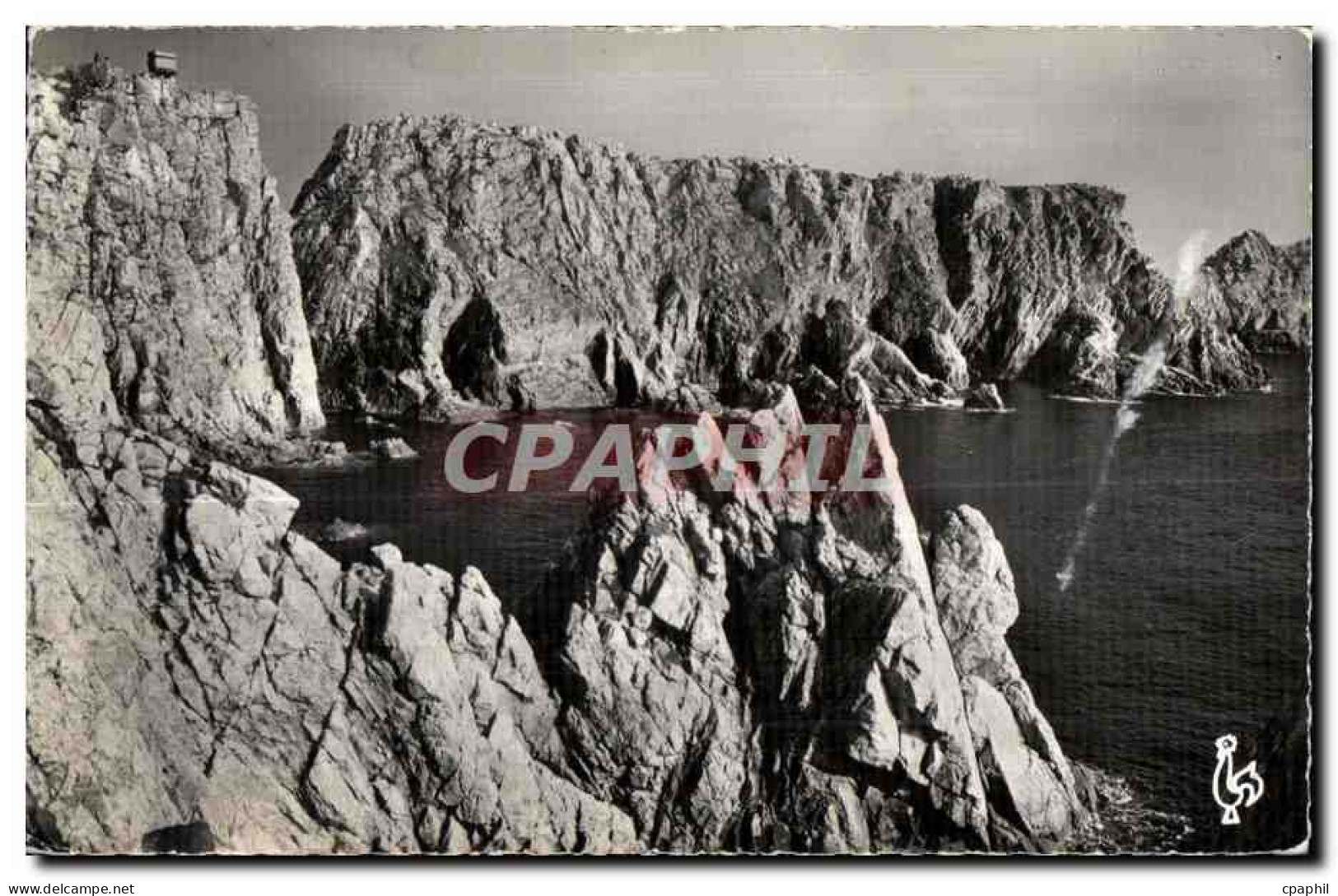 Camaret sur Mer - Les Falaises de Pen - Hir - CPA