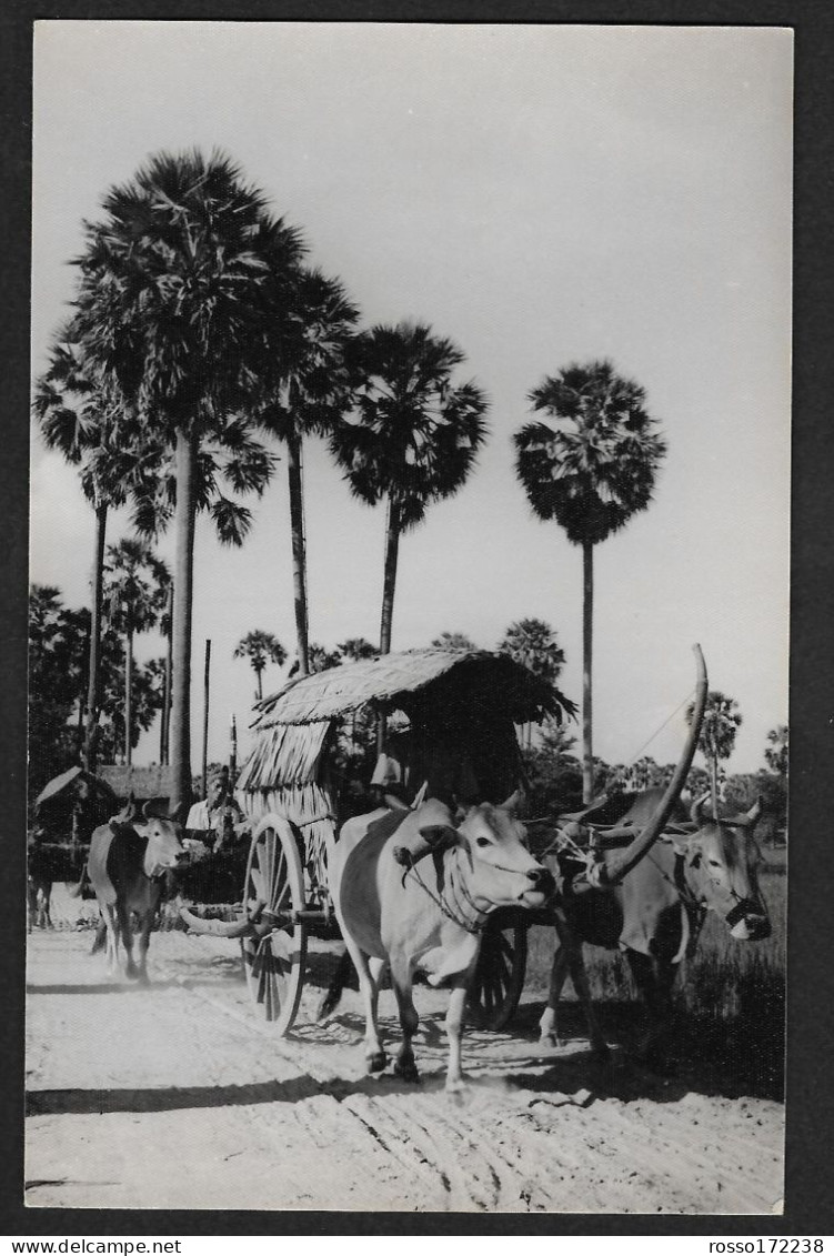 Cambodge souvenir Une Charrette postcard not used