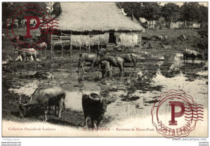 CAMBODGE. ENVIRONS DE PNOM-PENH . - BUFFLES AUX PATURAGES