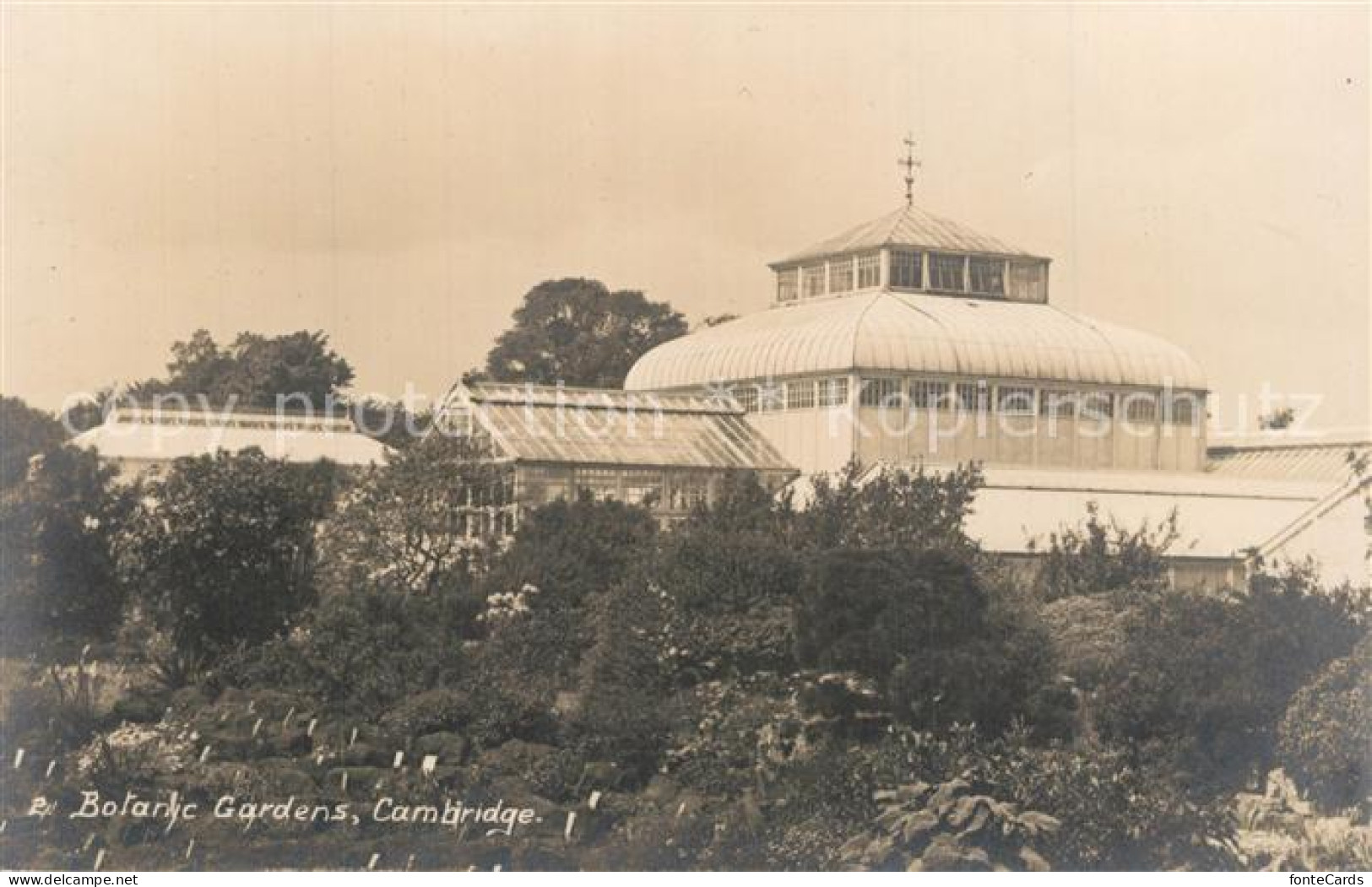 Cambridge Cambridgeshire Botnic Gardens