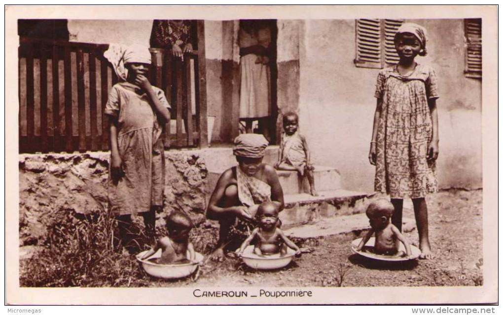CAMEROUN - Pouponnière