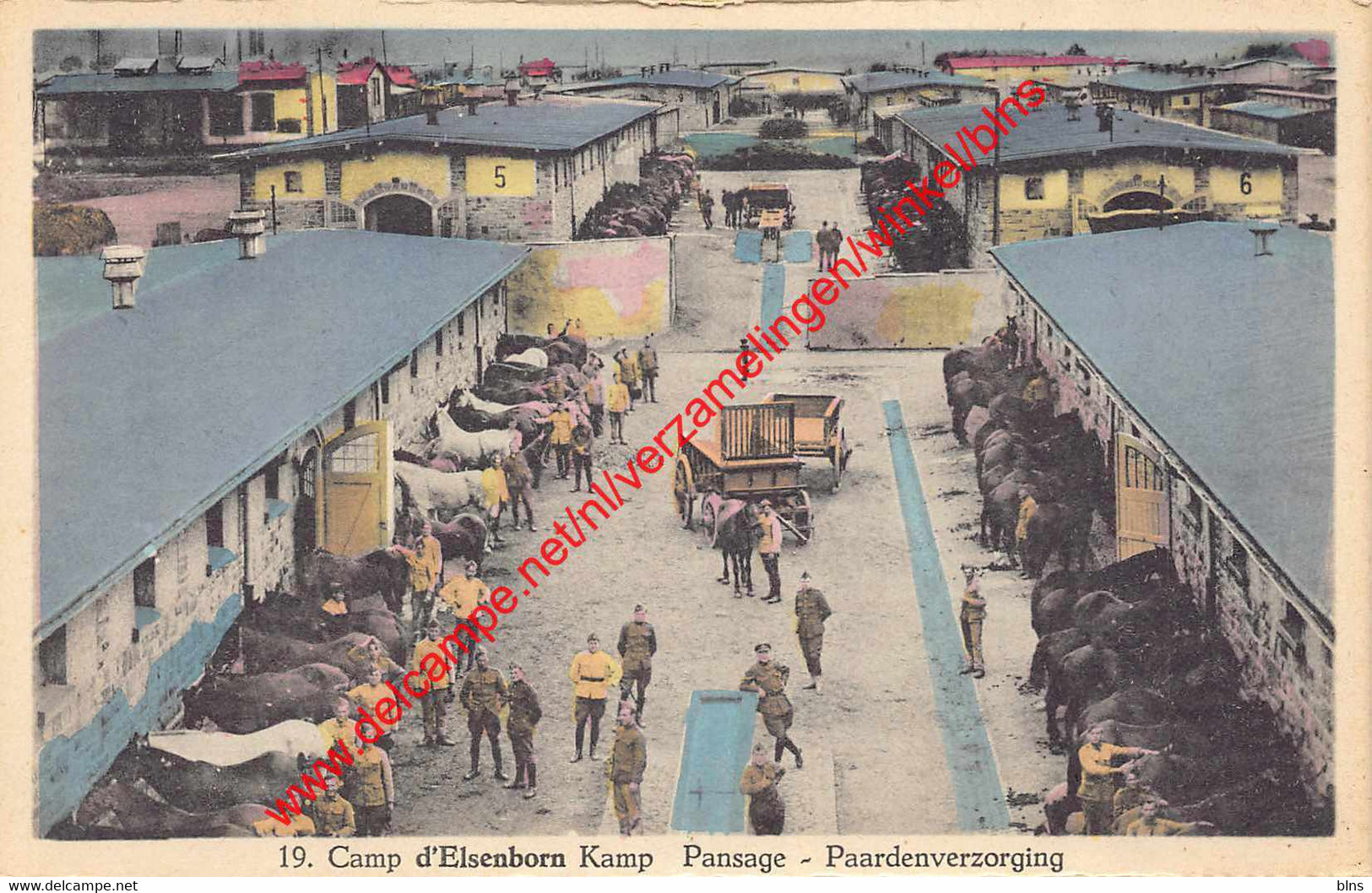 Camp d'Elsenborn Kamp - paardenverzorging - pansage - Elsenborn (Kamp)