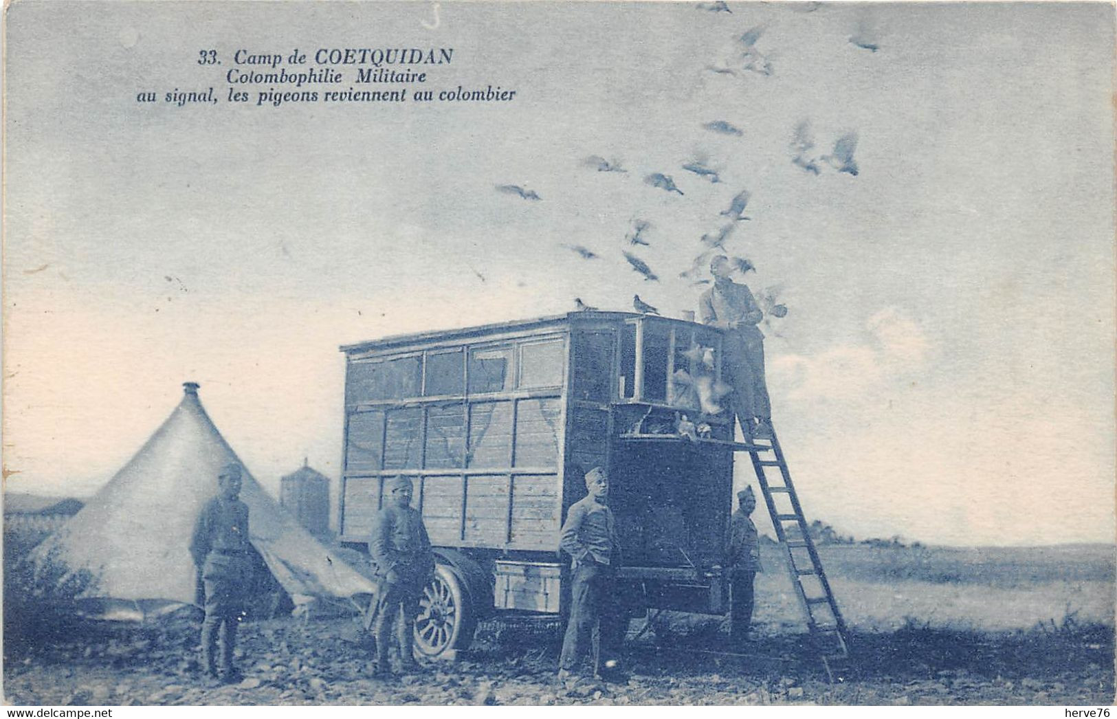 Camp de COETQUIDAN - Colombophilie militaire - au signal, les pigeons reviennet au colombier