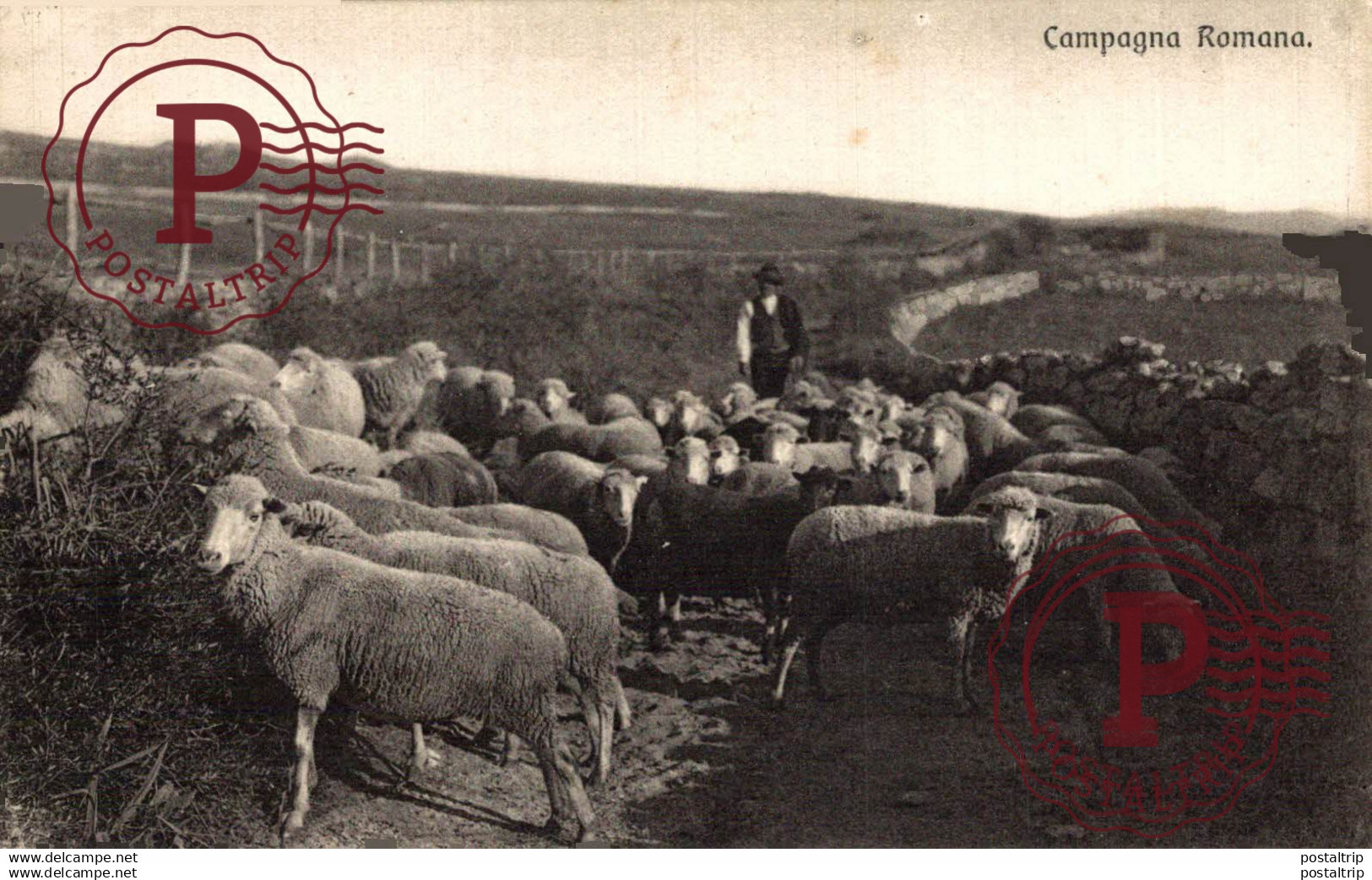 CAMPAGNA ROMANA    Romania Roemenië
