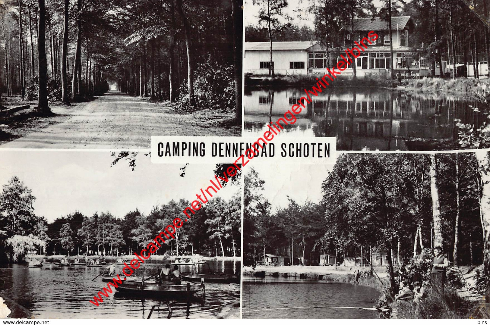 Camping Dennenbad - Schoten