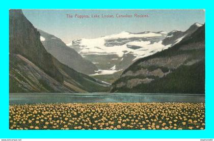 a923 / 397 LAC LOUISE The Popples Lake Louise Canadian Rockies