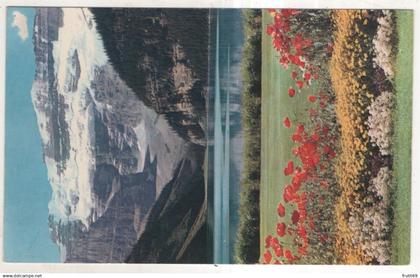 AK 240411 CANADA - Lake Louise