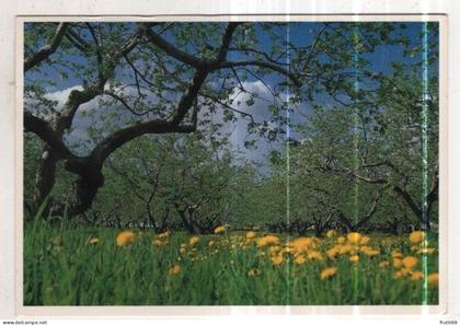 AK 265117 CANADA - Kamloops