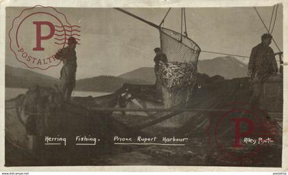CANADA. HERRING FISHING PRINCE RUPERT HARBOUR. ALLEN PHOTO. RPPC. FOTOGRAFICA.
