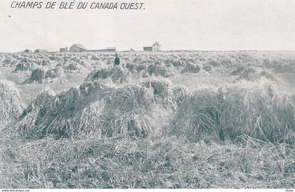 CANADA(CHAMPS DE BLE) SAINT JEAN