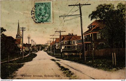 PC CANADA, CAPE BRETON, SYDNEY, WHITNEY AVENUE, Vintage Postcard (b61933)