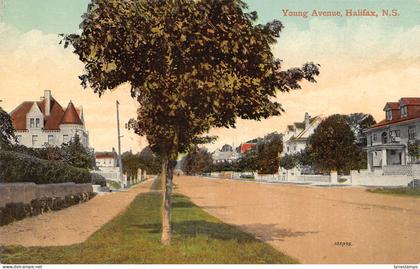 Canada Young Avenue Halifax vintage postcard B965