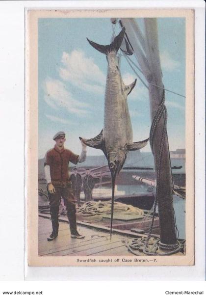 CANADA: NOUVELLE-ECOSSE: CAPE BRETON: swordfish caught off cape breton, pêche espadon - très bon état