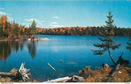 Carte Postale - Canada - Muskoka - wychwood service station - nature's magic of colour - CPM - Voir Scans Recto-Verso -