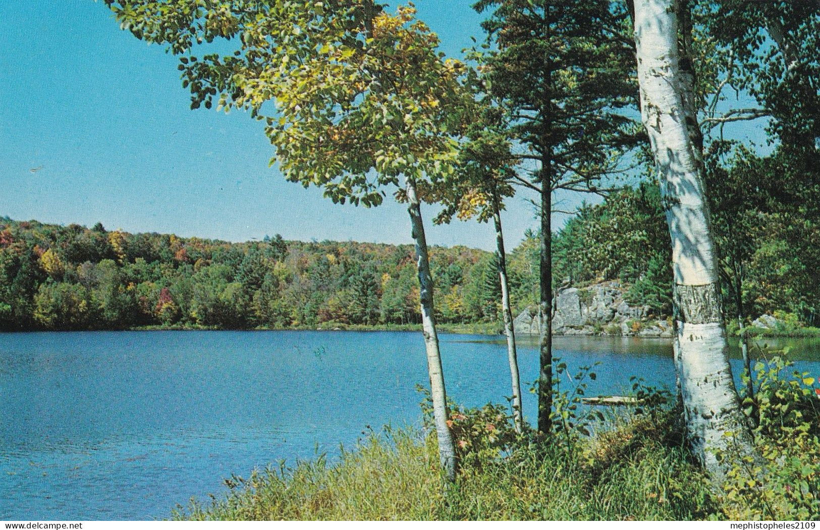 CANADA - Postcard MUSKOKA