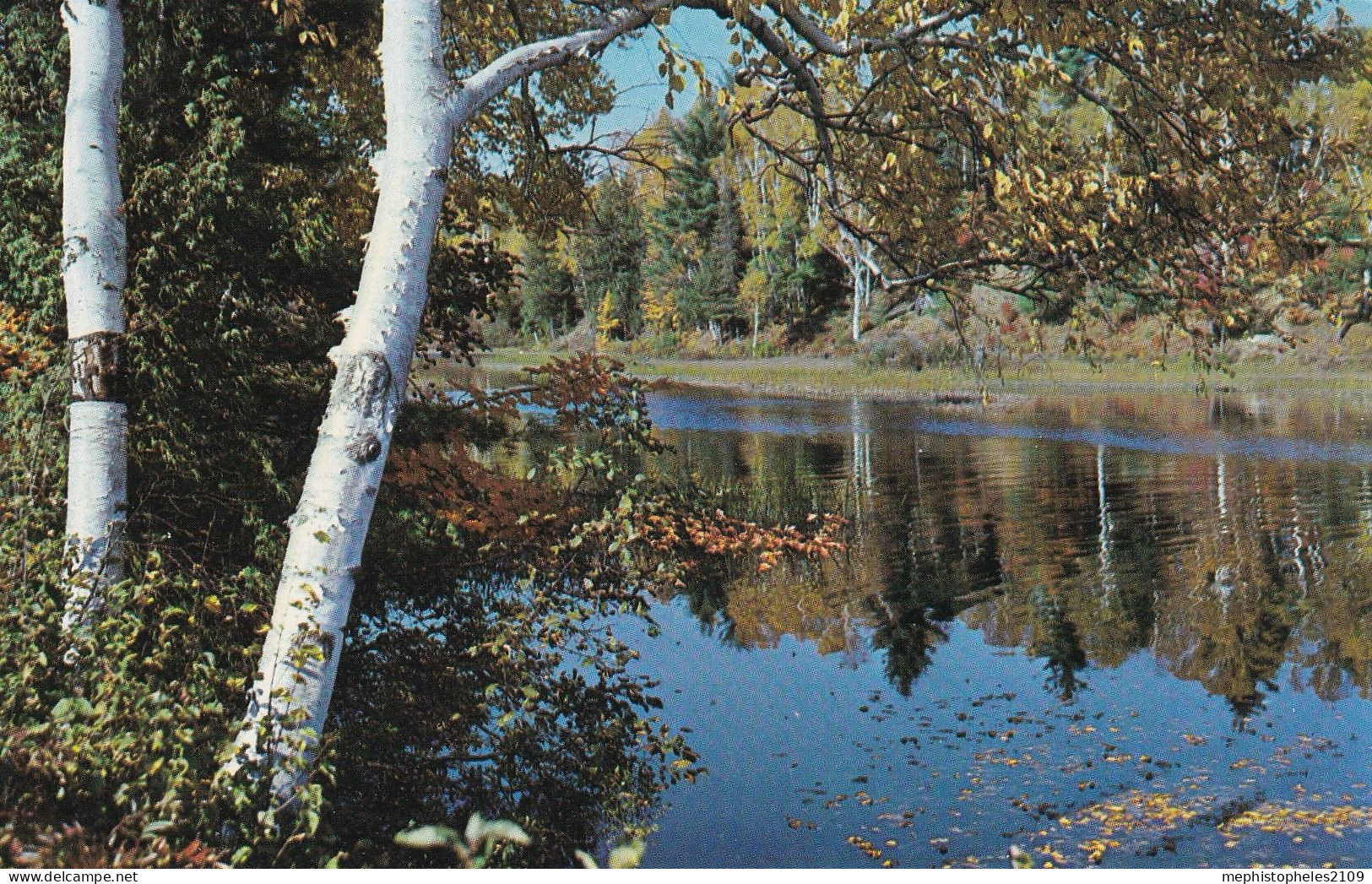 CANADA - Postcard MUSKOKA