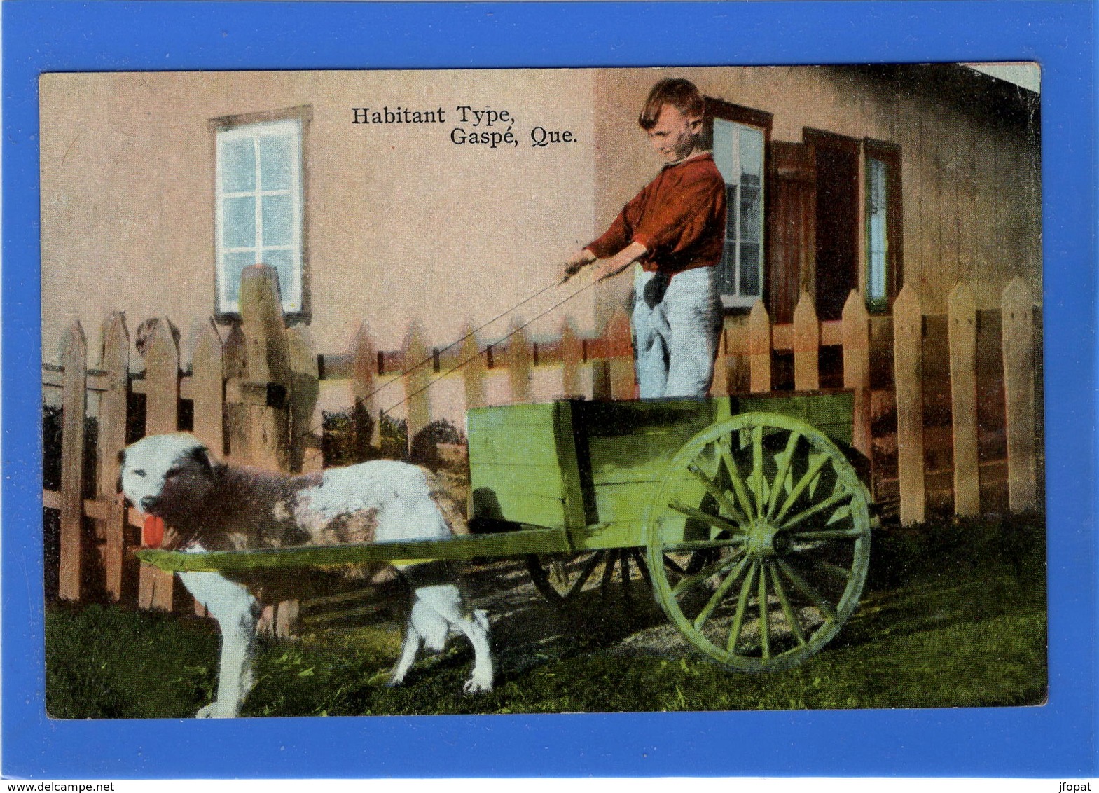 CANADA - Québec, GASPE Habitant type en voiture à chien