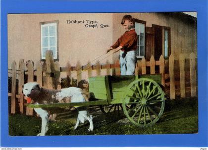 CANADA - Québec, GASPE Habitant type en voiture à chien