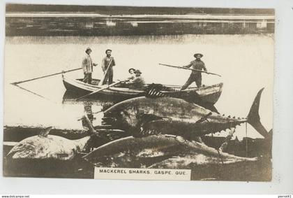 CANADA - QUEBEC - GASPE - Mackerel Sharks - Edit. E. L'ESPERANCE