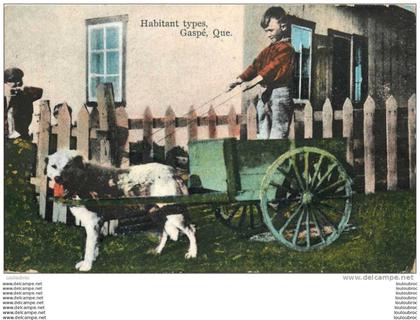 GASPE HABITANT TYPES GASPE QUE ATTELAGE DE CHIEN VOYAGEE TIMBREE