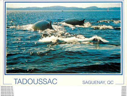 CPM Tadoussac Saguenay QC