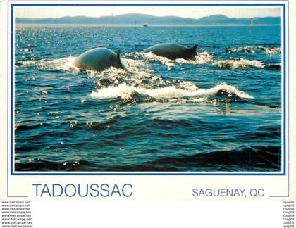 CPM Tadoussac Saguenay QC