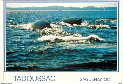 CPM Tadoussac Saguenay QC