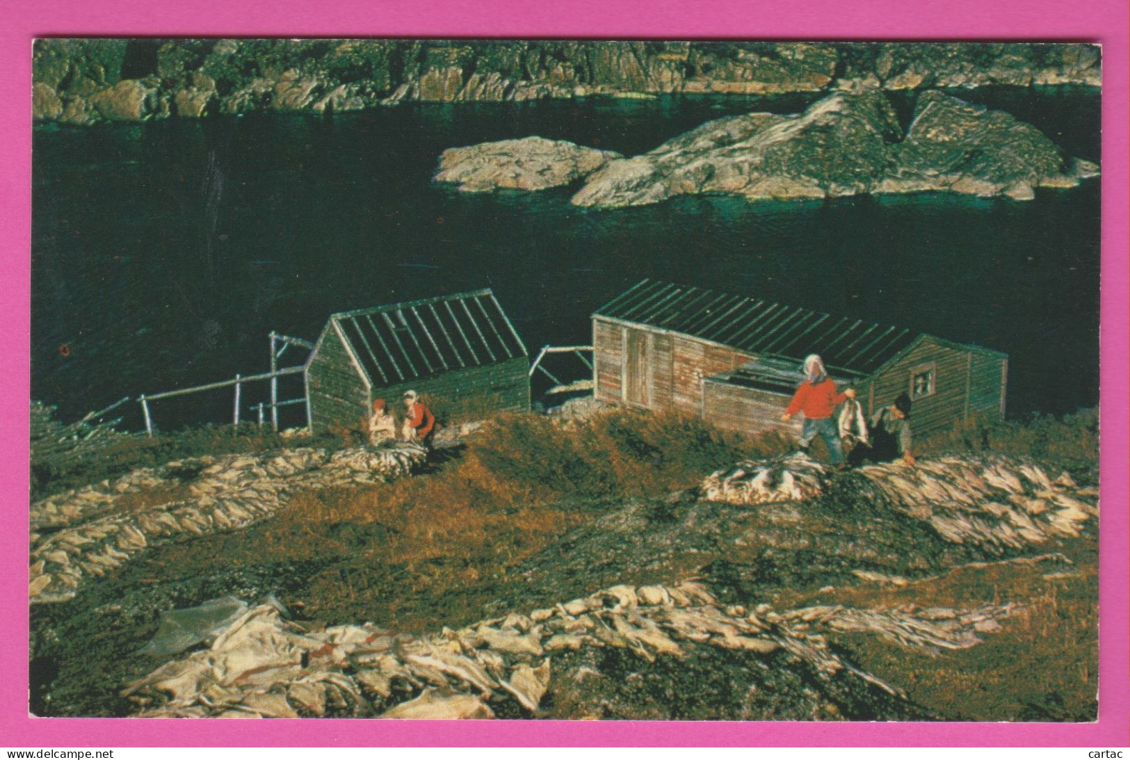 CANADA - SPREADIG FISH IN A LABRADOR FISHING VILLAE (TRIANGLE) - ÉTALEMENT DE POISSONS DANS UN VILLAGE DE PÊCHEURS DU..