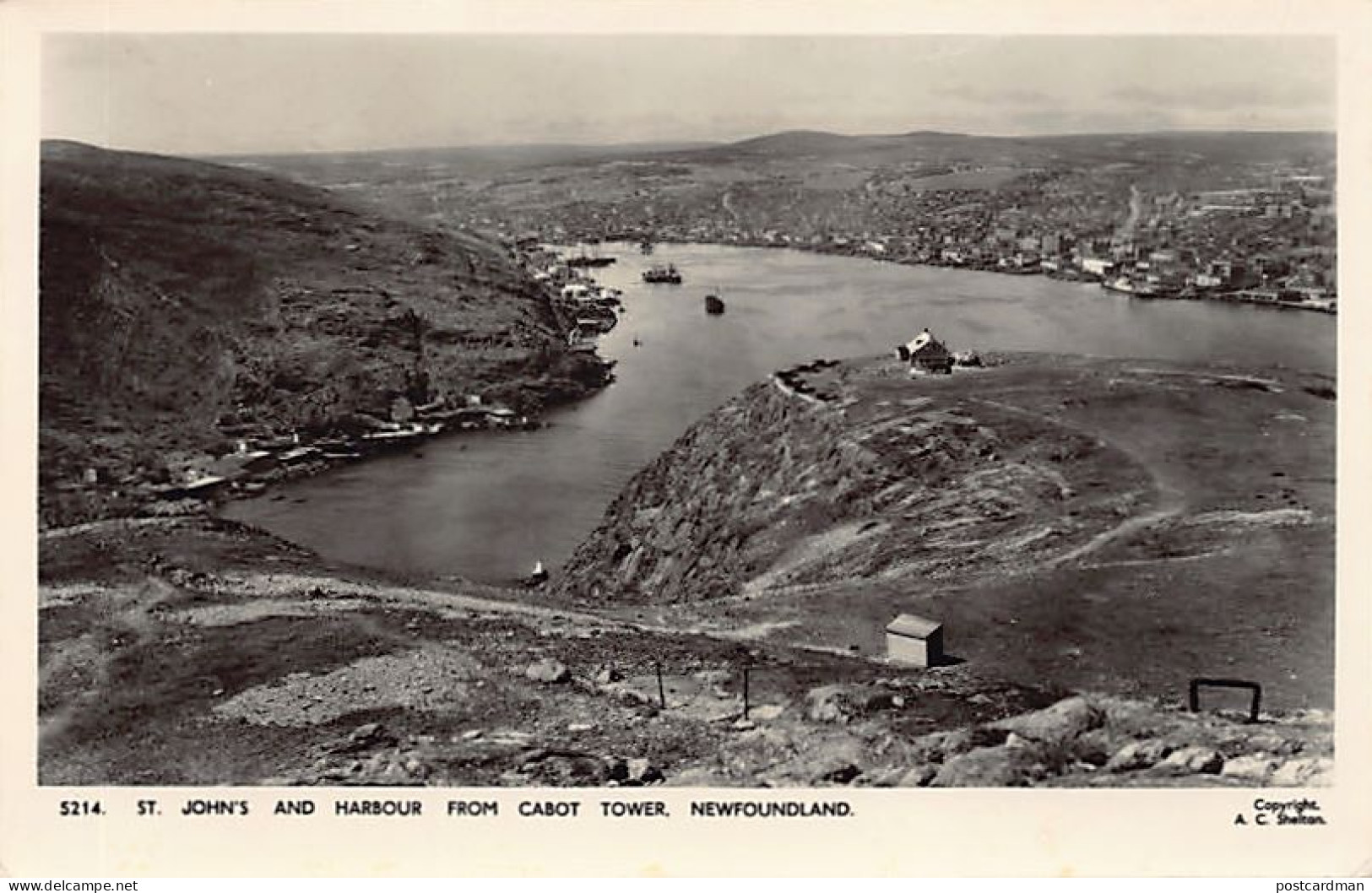 Canada - ST, JOHN'S - Harbour from Cabot Tower - Publ. A. C. Shelton