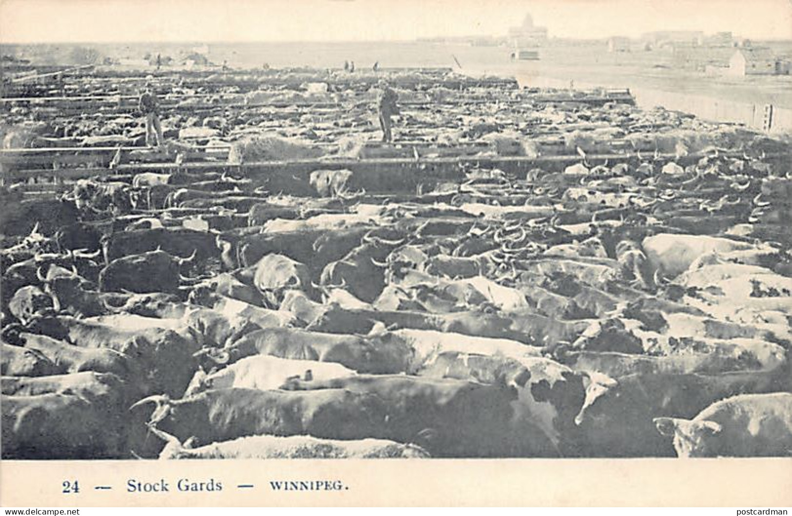 Canada - WINNIPEG (MB) Stock Yards