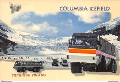 lot383 Canada jesper national park columbia icefield