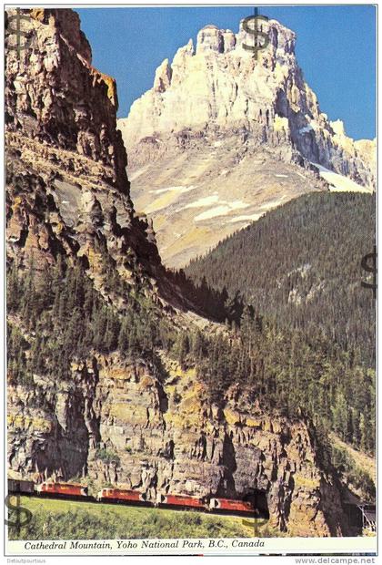 CANADA Parc National YOHO Colombie Britannique Cathedral Mountain railway train locomotive diesel Zug treno ferroviaire