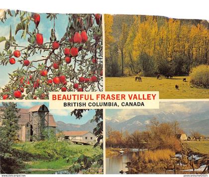 lot382 Canada Fraser valley british columbia