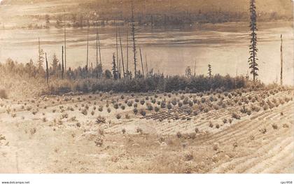 Canada - N°70104 - Colombie Britannique - Paysage près de l'eau - Carte photo
