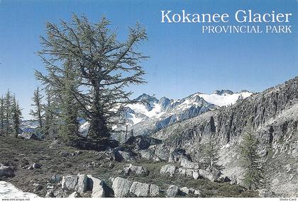 CANADA KOKANEE